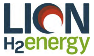 logo_lion energy